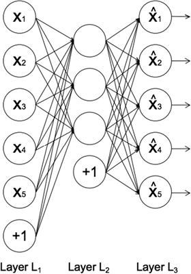 Frontiers | GOLD plasma bubble observations comparison with